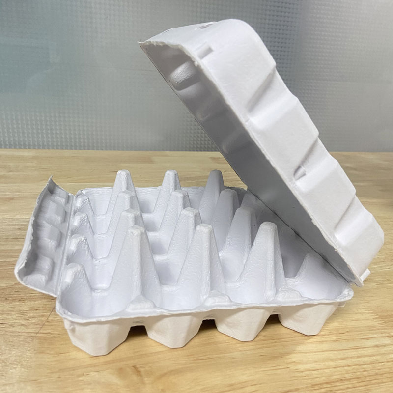 20  eggs - white egg tray