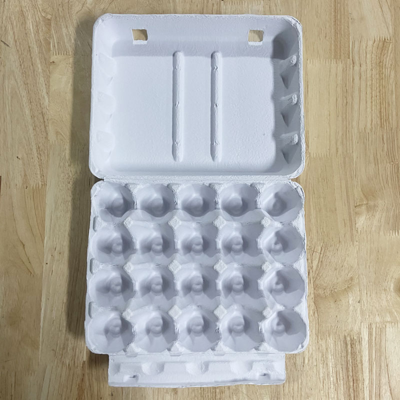 20  eggs - white egg tray
