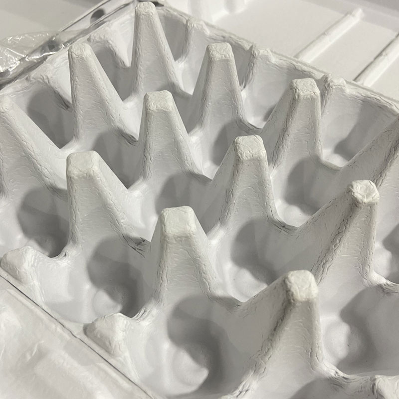 20  eggs - white egg tray