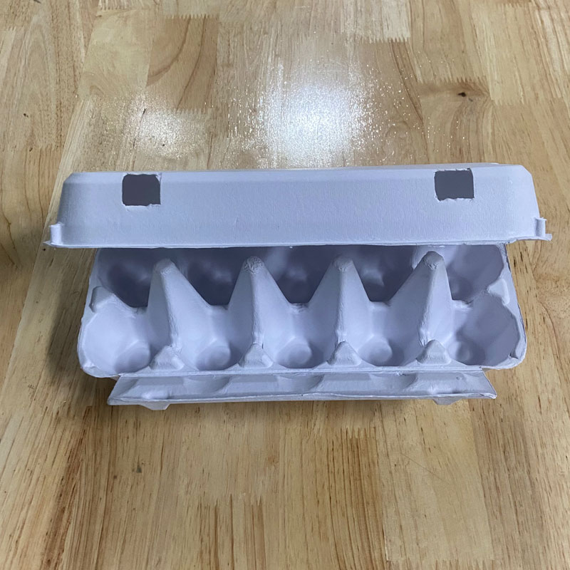 10 eggs - white egg tray