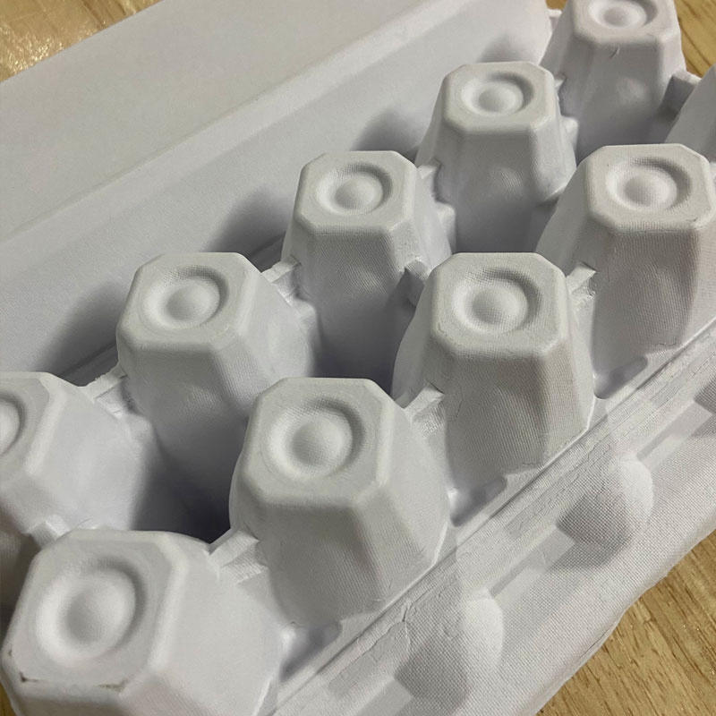 10 eggs - white egg tray