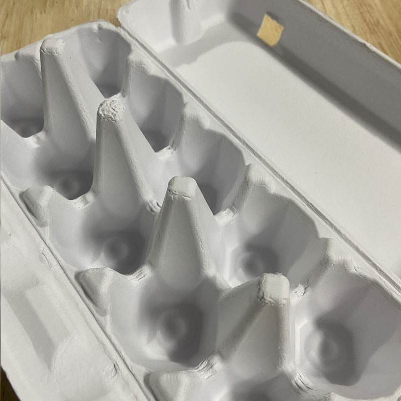 10 eggs - white egg tray