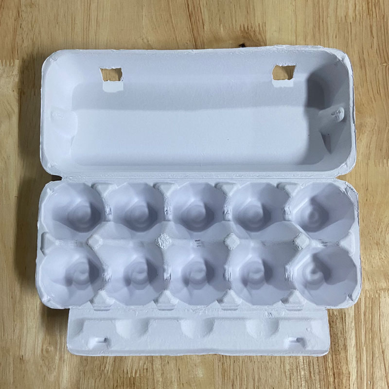 10 eggs - white egg tray