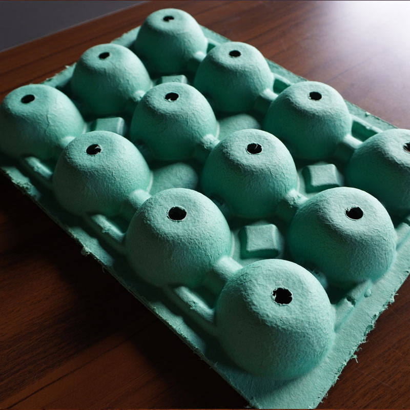 Green tray