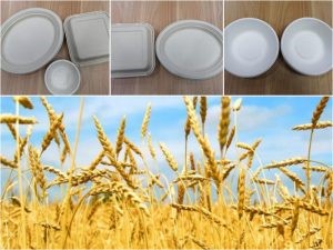 What is the difference between the different raw materials for pulp molding production?