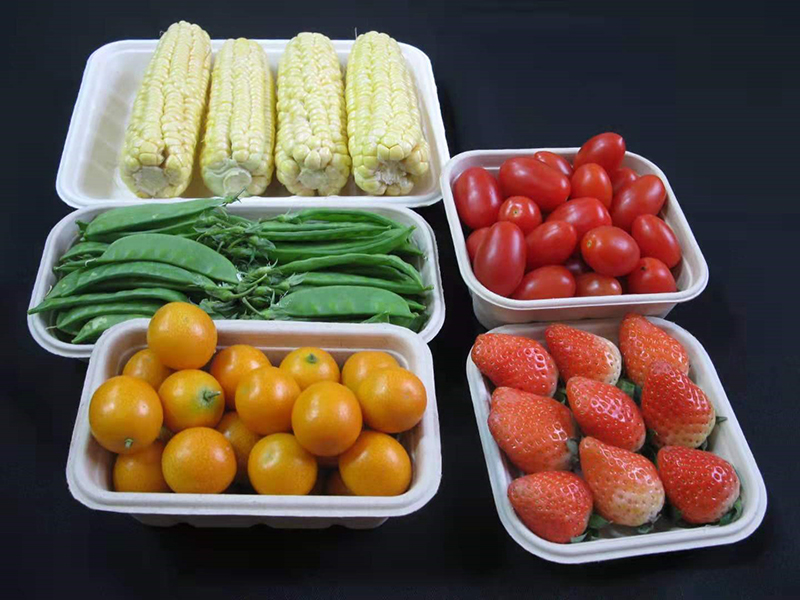 Biodegradable plastics are also banned in the EU